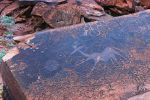 20050705_c3_7945-e.jpg