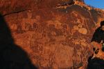 20050705_c3_7979-e.jpg