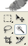 Select Magic Wand Tool