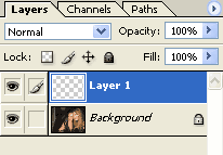 Make new Layer via Copy